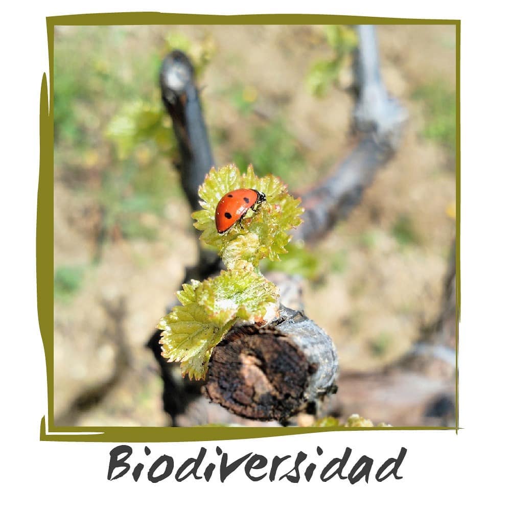 Biiodiversidad