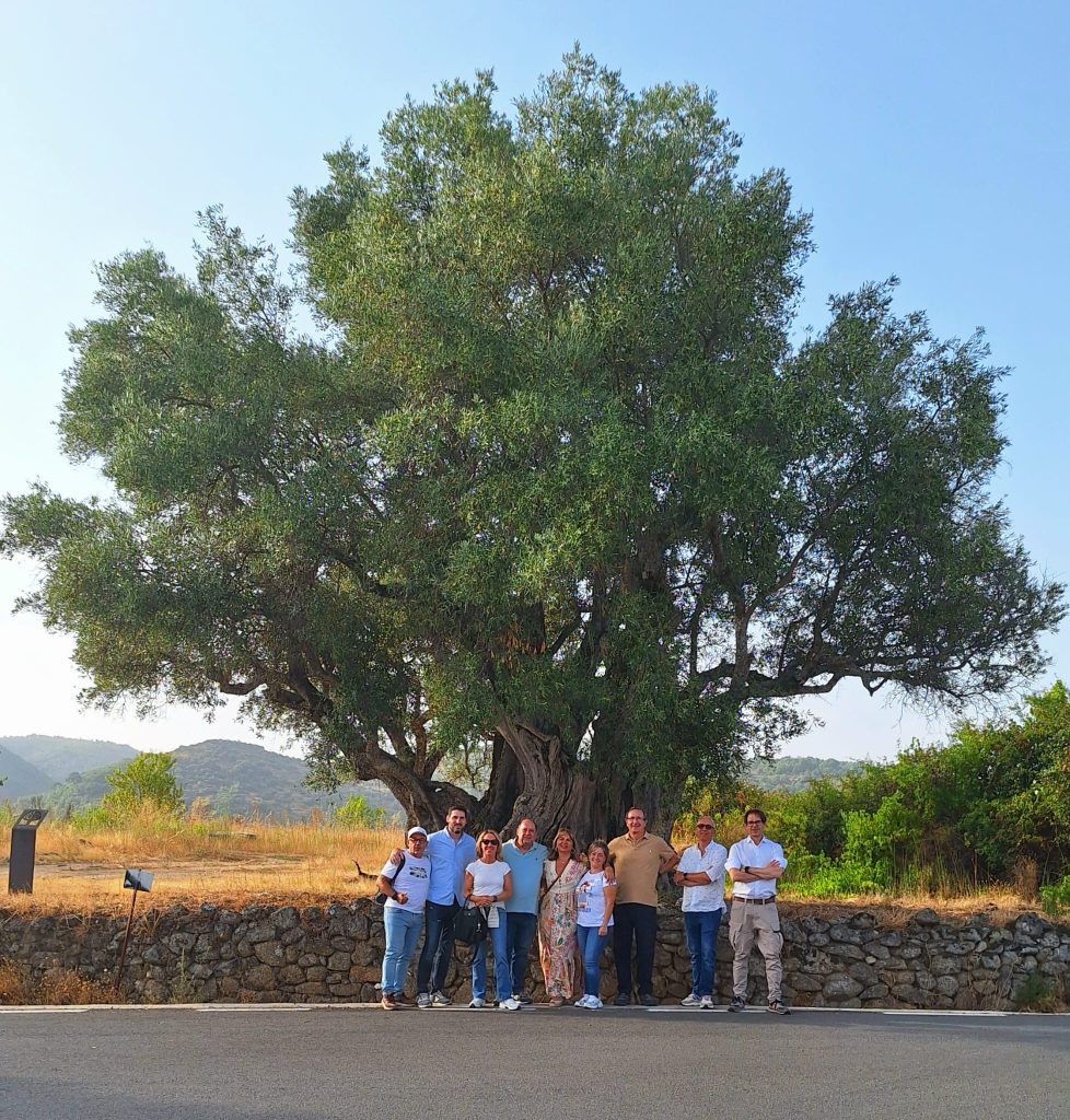 Visita al Olivo Milenario catalogado como Catedral Viva de San Esteban de la Sierra. Experiencia PLATA